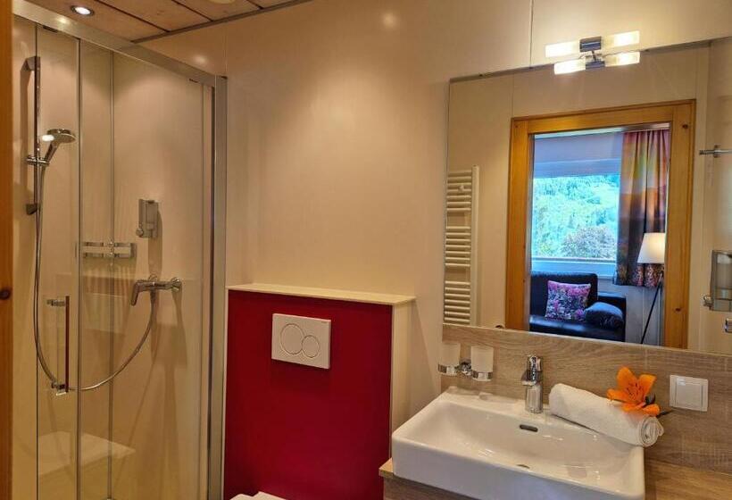 اتاق سوپریور, Alpenpension Gastein