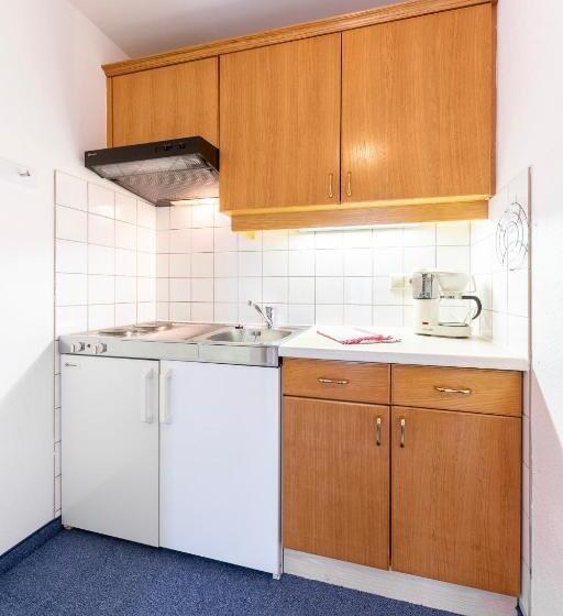 آپارتمان 1 خوابه با بالکن, Frühstückspension Appartementhaus Wasserer