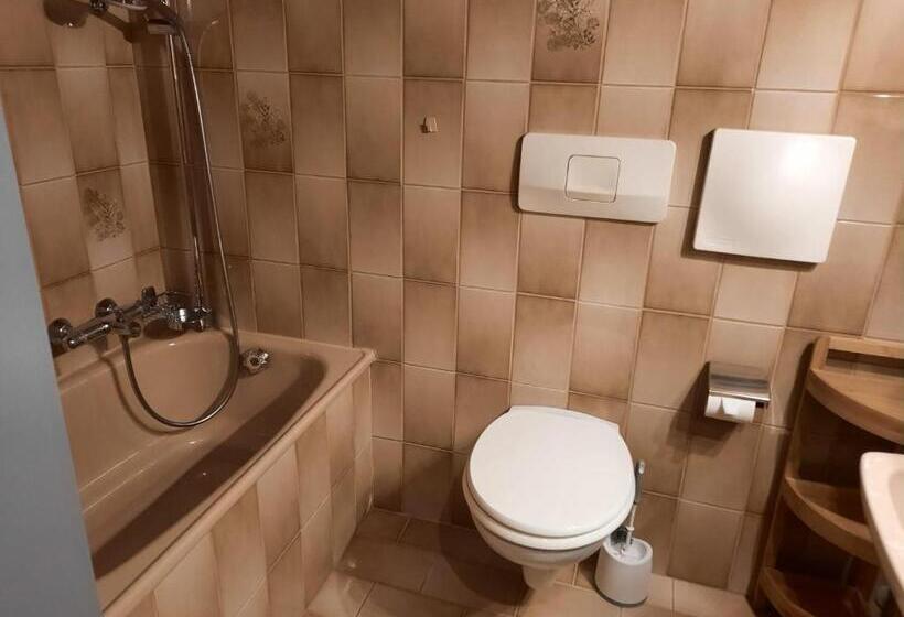 Habitaci�n Est�ndar Abuhardillada, Rosi`s