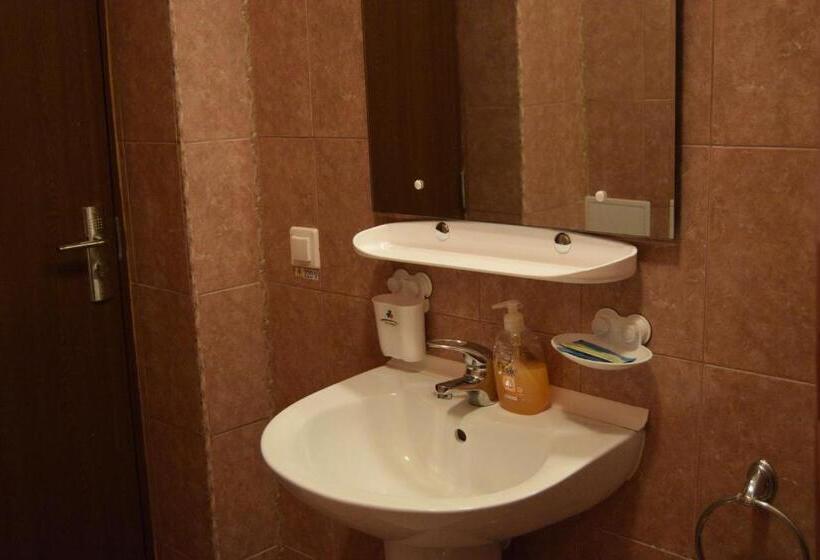 اتاق استاندارد, Pension Larisa