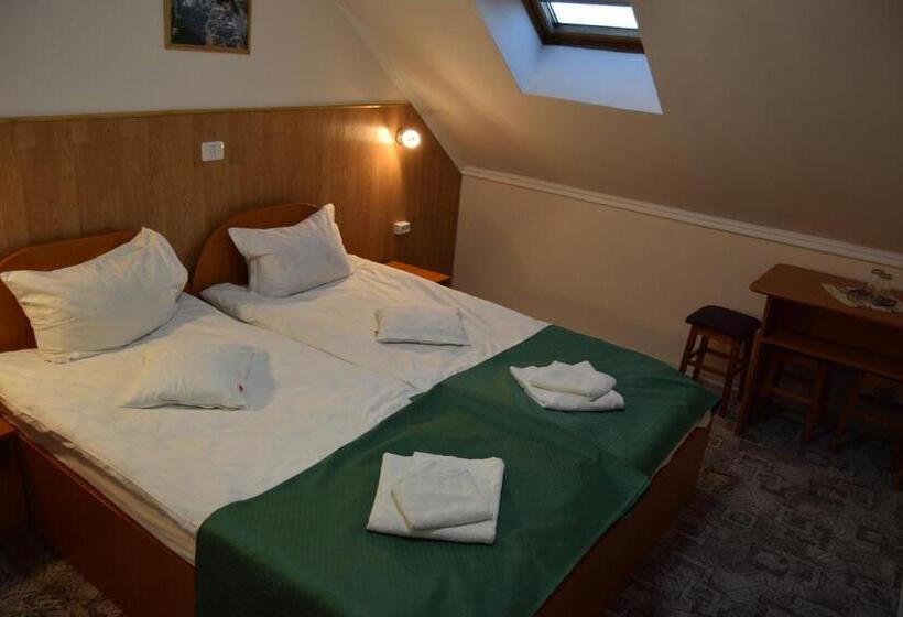 اتاق استاندارد, Pension Larisa
