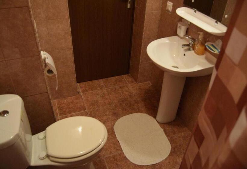 اتاق استاندارد, Pension Larisa