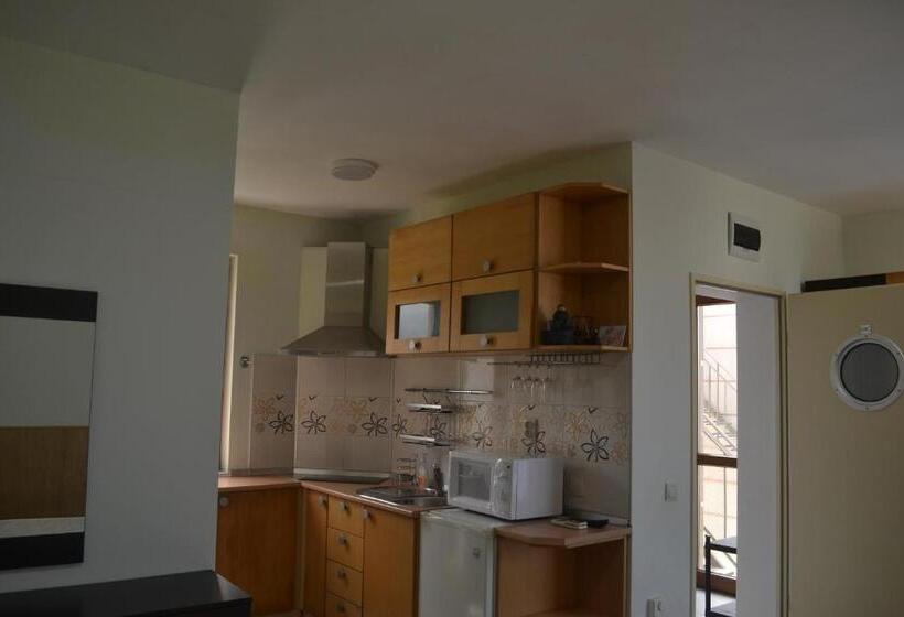 استودیوی استاندارد با چشم‌انداز دریا, Seagarden Villa Resort