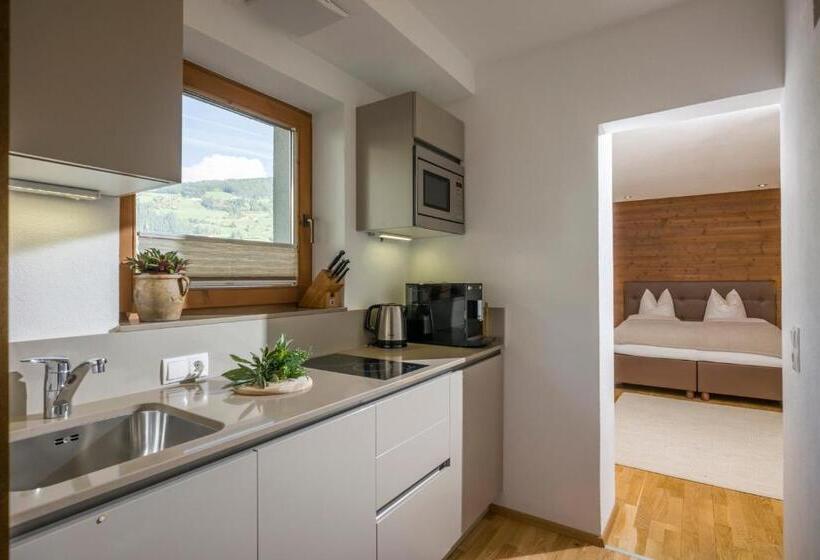 آپارتمان 1 خوابه با بالکن, Gästehaus Rauch