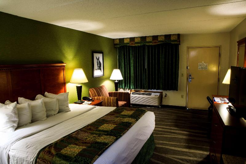 اتاق لوکس, Bachleda Luxury Hotel Krakow Mgallery Hotel Collection