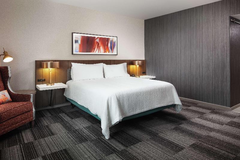 اتاق استاندارد با تخت بزرگ, Hilton Garden Inn Sacramento Airport Natomas