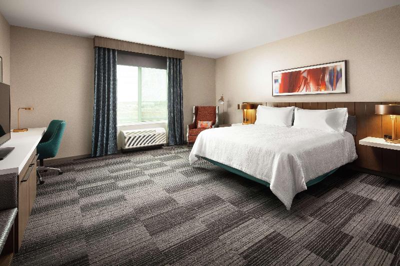 اتاق استاندارد با تخت بزرگ, Hilton Garden Inn Sacramento Airport Natomas