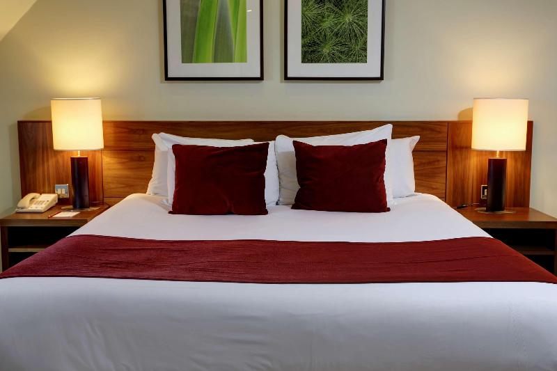 اتاق استاندارد با تخت بزرگ, Hilton Garden Inn Sacramento Airport Natomas