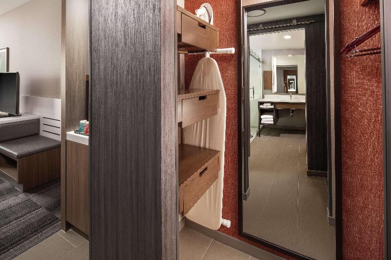 اتاق استاندارد با تخت بزرگ, Hilton Garden Inn Sacramento Airport Natomas