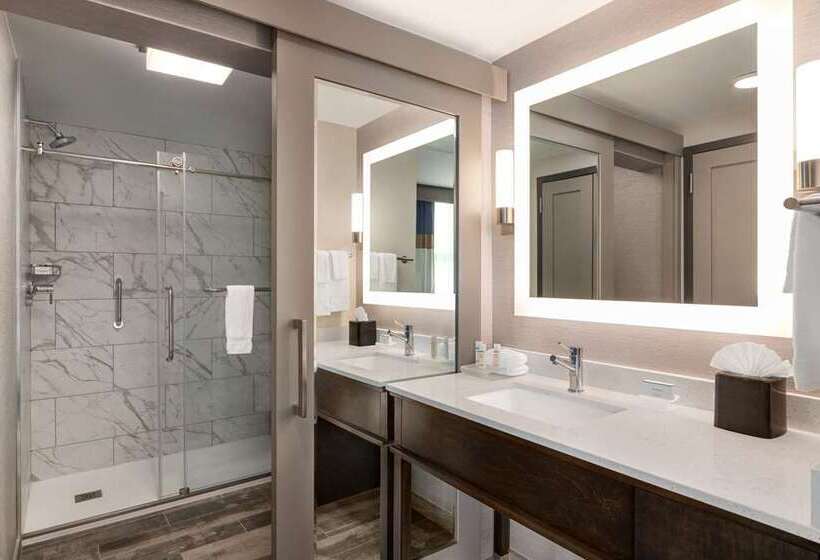 استودیو استاندارد با تخت کینگ, Homewood Suites By Hilton Salt Lake City Airport
