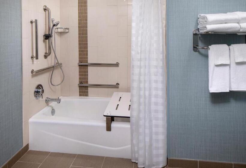 اتاق استاندارد با تخت دو نفره بزرگ برای معلولان, Hyatt Place Mount Pleasant Towne Centre