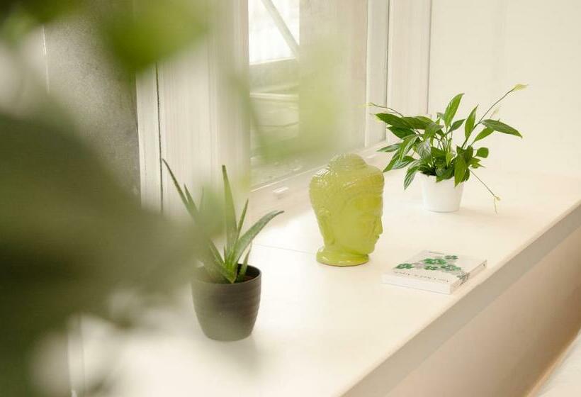 استودیوی استاندارد, Terlon Apartments