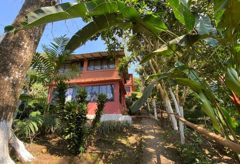 اتاق استاندارد, Cabanas Cascadas Encantadas