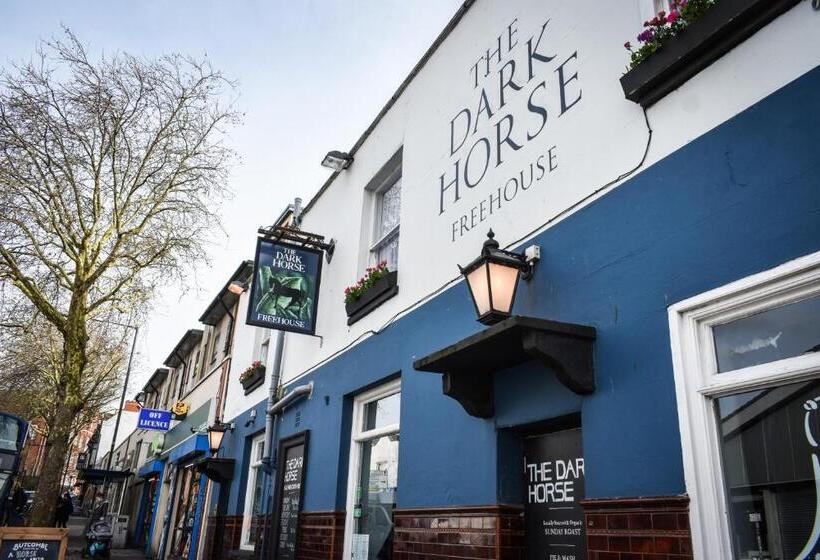 اتاق استاندارد با تخت بزرگ, The Dark Horse Pub