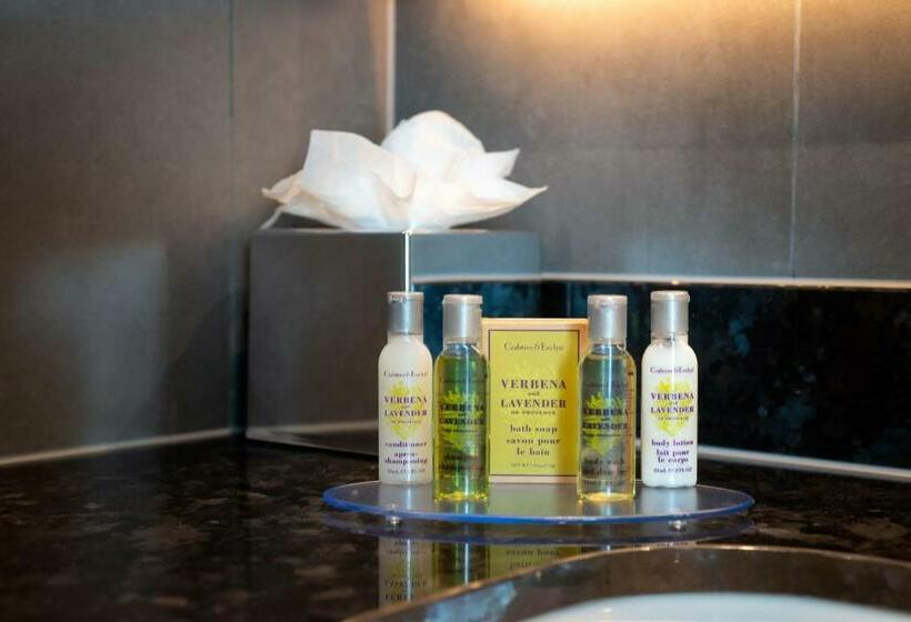 اتاق استاندارد با تخت بزرگ, Hilton Garden Inn London Heathrow Terminal 2 And 3