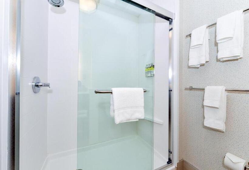 سوئیت با تخت بزرگ, Holiday Inn Express & Suites   Elko, An Ihg