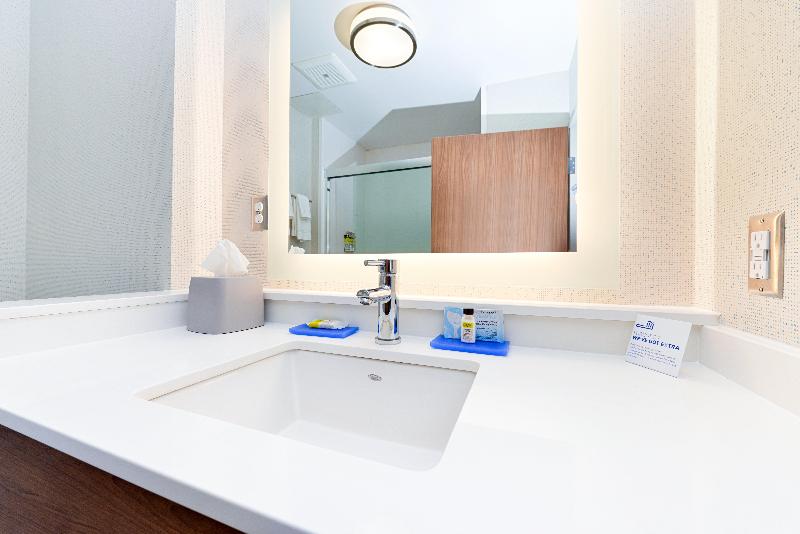 اتاق استاندارد با تخت بزرگ, Holiday Inn Express & Suites   Elko, An Ihg