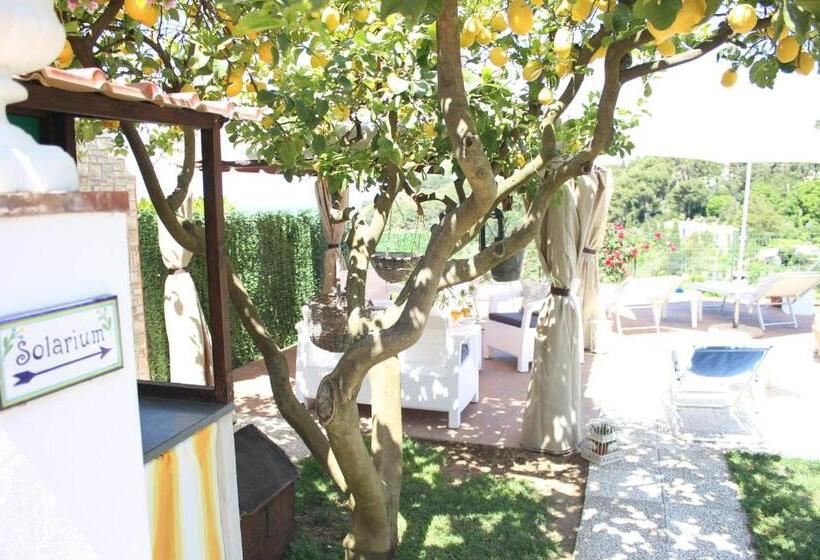اتاق استاندارد با تخت بزرگ, B&b Villa Cristina