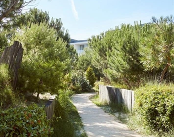 اتاق استاندارد, Plage Palace & Spa
