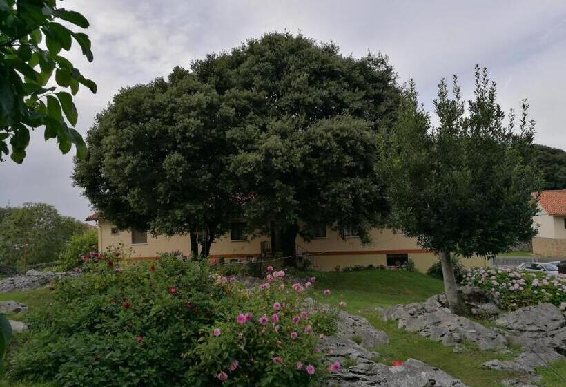 스탠다드 룸, La Encina Celorio Llanes