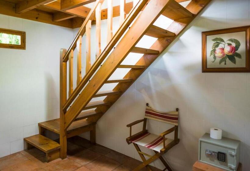 اتاق عادی با تخت دوبل, La Posada De Babel