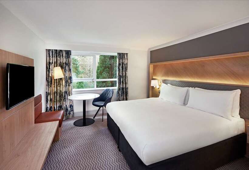 اتاق استاندارد با تخت بزرگ, Hilton Barcelona