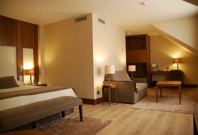 Номер Стандарт, Gran Hotel Balneario De Puente Viesgo