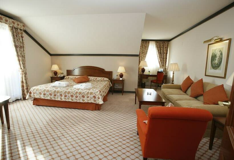 اتاق استاندارد, Gran Hotel Balneario De Puente Viesgo
