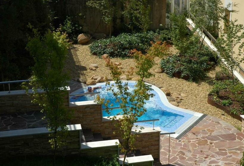 اتاق استاندارد با دسترسی به اسپا, Gran Hotel Balneario De Puente Viesgo