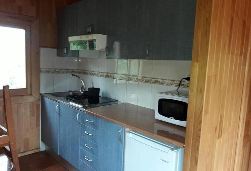 بانگلوی استاندارد 2 خوابه, Sabiñanigo Camp &