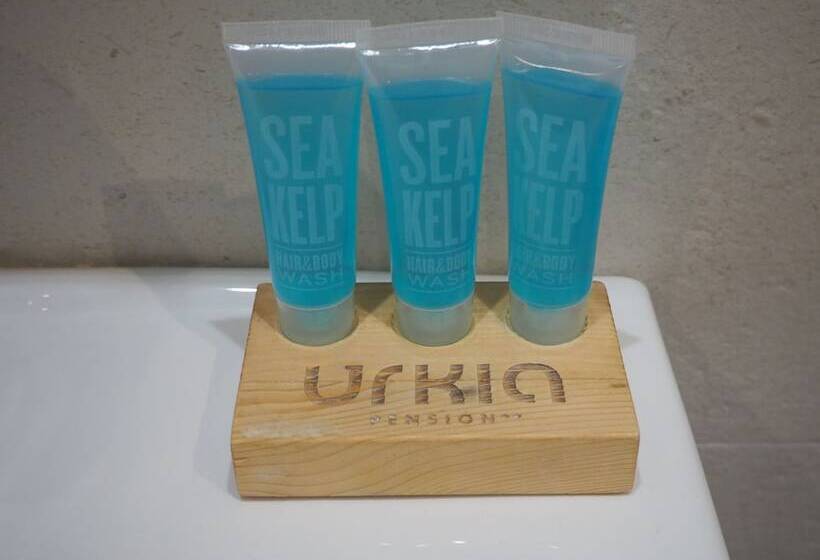 スタンダードシングルルーム, Pension Urkia