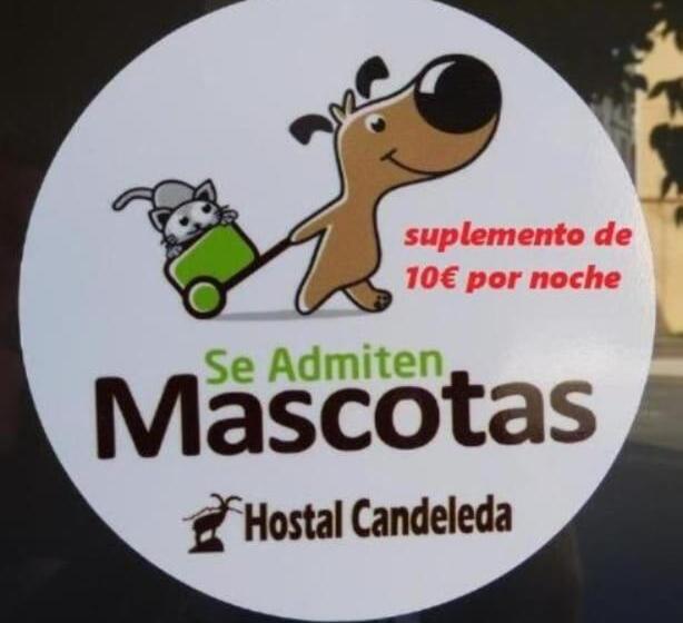 Номер Стандарт Индивидуальный, Hostal Candeleda