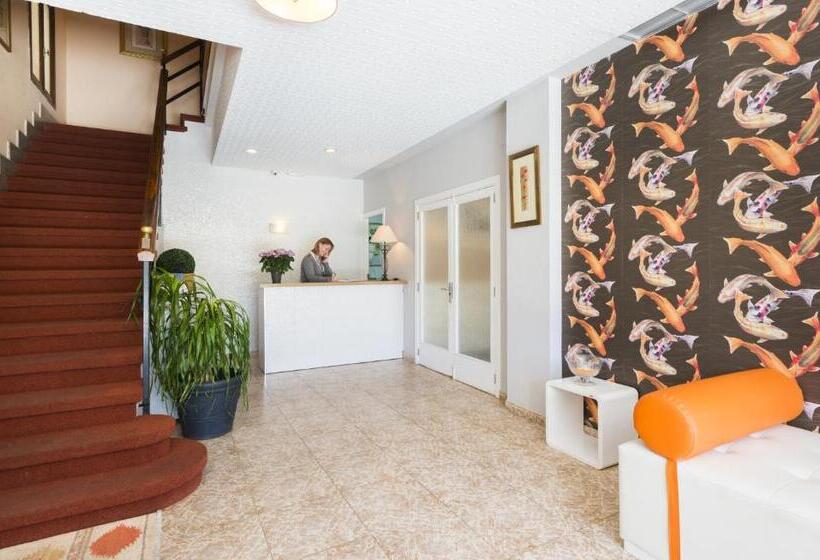 اتاق لوکس یک تخته, Hostal Neptuno