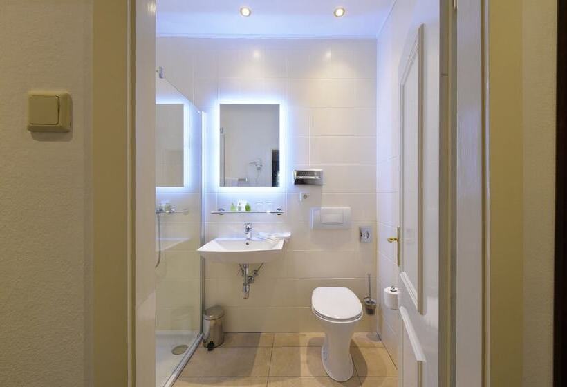 Номер Superior, Palais Hotel Erzherzog Johann