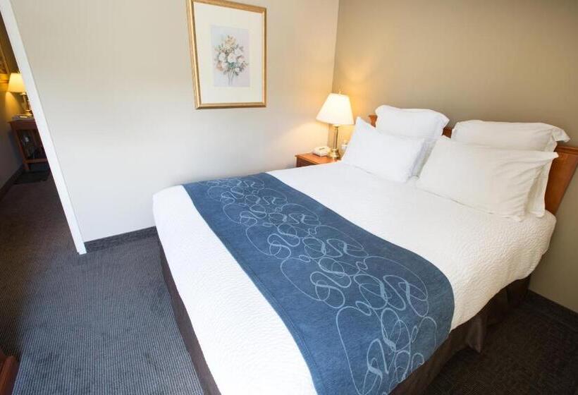 スイート, Nomad Hotel & Suites