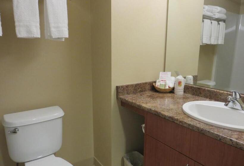 Номер Executive Кровать Кинг, Super 8 By Wyndham Abbotsford Bc
