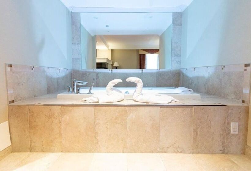 سوییت اجرایی, Hamilton Plaza Hotel & Conference Center