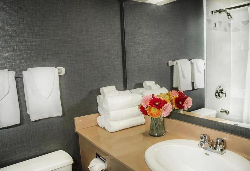 ２ベッドスイートルーム, Cartier Place Suite