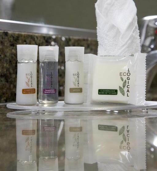 Deluxe Suite, The Falls Hotel & Inn