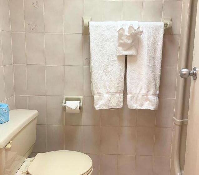 キングサイズベッドのデラックスルーム, Travelodge By Wyndham Niagara Falls Lundys Lane