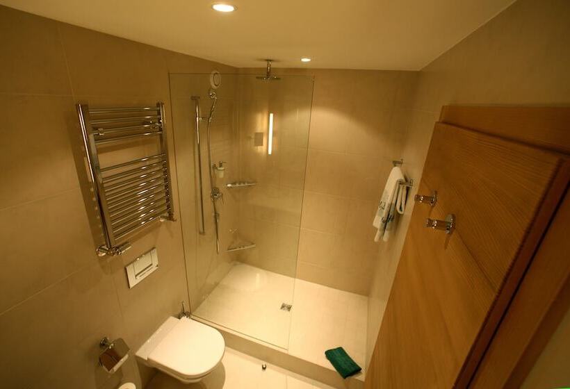 Номер Economy, Bernerhof Swiss Quality Hotel Gstaad