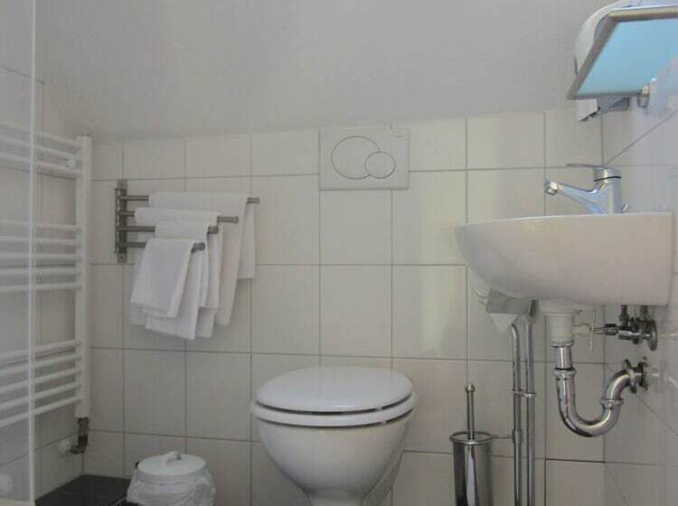 Номер Стандарт, Altstadt Hotel Rheinblick