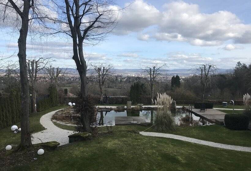 اتاق سوپریور, Schlosshotel Kassel