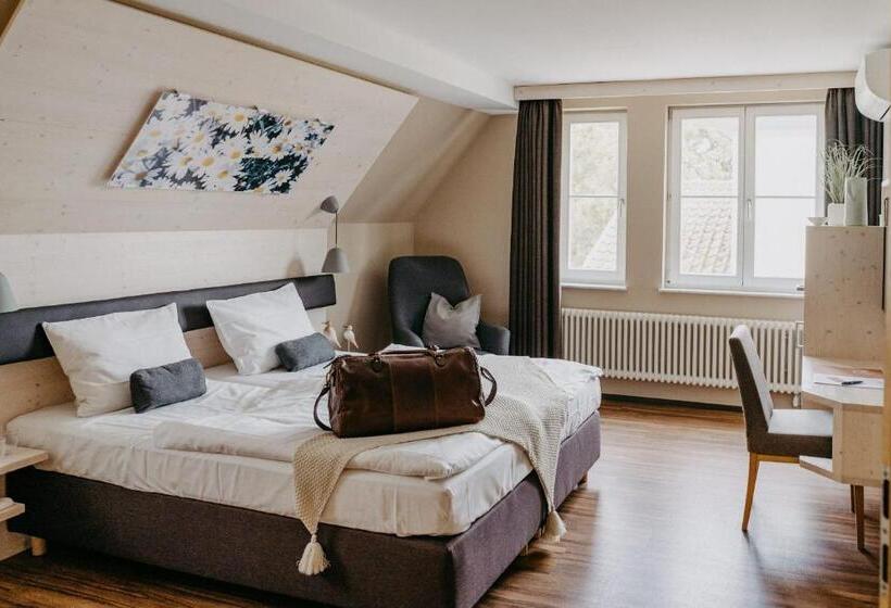 컴포트 싱글 룸, Maiers Johanniterbad Ringhotel Rottweil