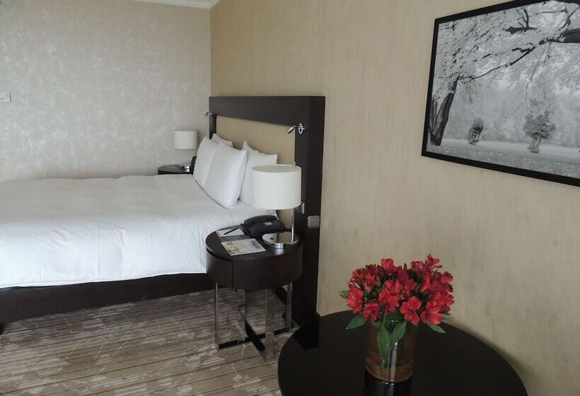 اتاق لوکس, Hilton Munich Park