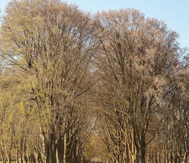 سوئیت مستر, Lucknam Park