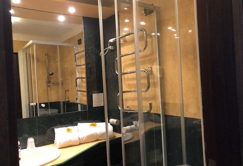 اتاق استاندارد یک نفره, Domizia Palace