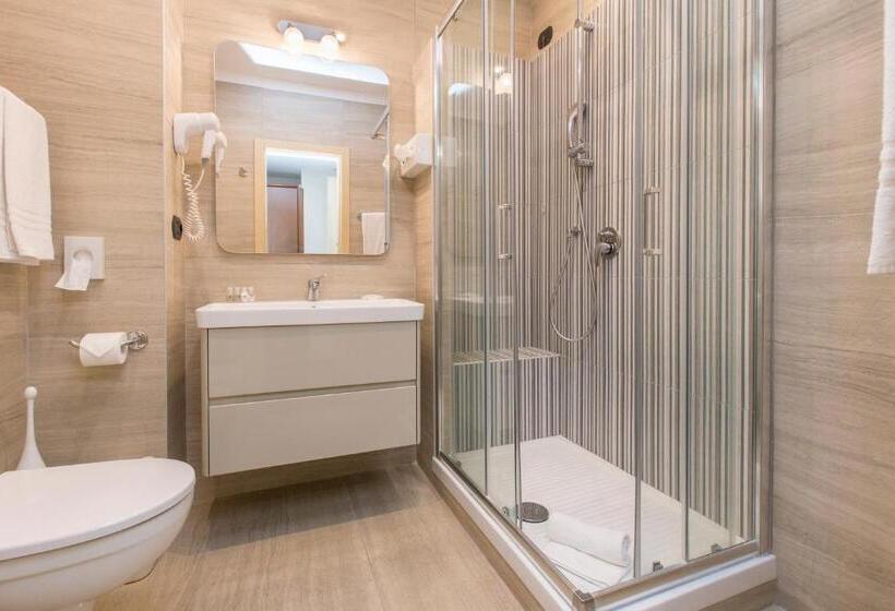 Номер Стандарт Трехместный, Central Wellness