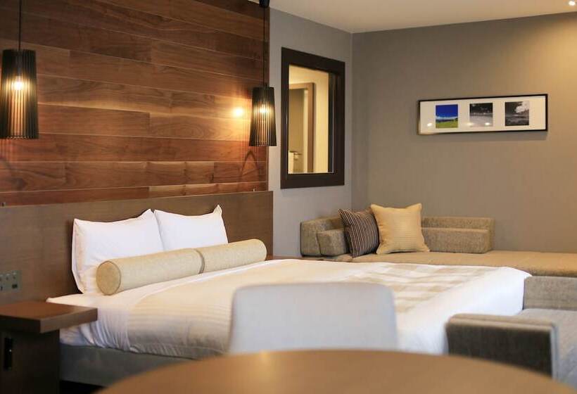 اتاق لوکس با چشم‌انداز دریا, Art Hotel Ishigakijima