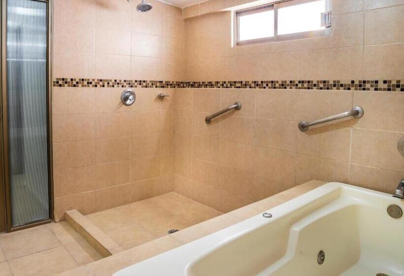 スタンダード４人部屋, Collection O Hotel Mocambo, Boca Del Río